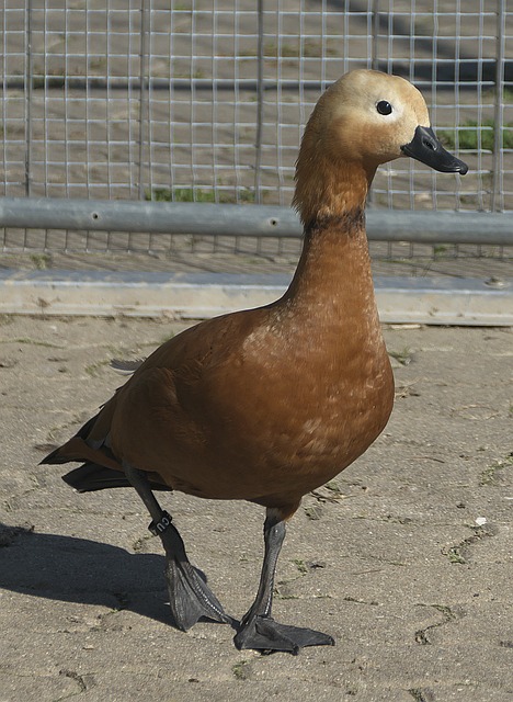 员能够承接